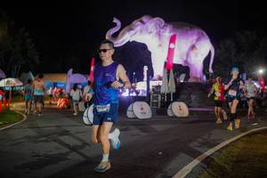 BIB: 
                            <button type="button" onclick="openModal(26552003)" class="btn btn-primary btn-sm float-right btn-popup" data-toggle="modal" data-target=".modal-high-quality">
                        <i class="fas fa-shopping-cart"></i> Add to Cart
                    </button>
                                            <button type="button" onclick="isThisMe(26552003, true)" class="btn btn-success btn-sm float-right btn-popup btn-isme hidden" data-toggle="tooltip" data-placement="bottom" title="นี่คือรูปของคุณใช่ไหม คลิกที่นี่เพื่อเอาเข้าอัลบั้ม">
                        <i class="fas fa-plus"></i> Add to album
                    </button>
                    <button type="button" onclick="isThisMe(26552003, false)" class="btn btn-warning btn-sm float-right btn-popup btn-isnotme hidden">
                        <i class="fas fa-ban"></i> Remove from album
                    </button>